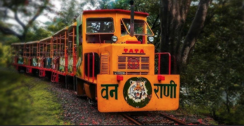 Mini train ride inside SGNP Mumbai Beginner cycling training plan by Veloctive Mumbai