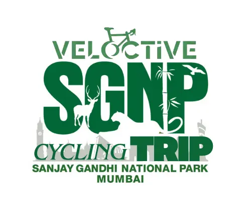 Veloctive Mumbai – Best Cycling Classes & Training Academy bicycle training at home