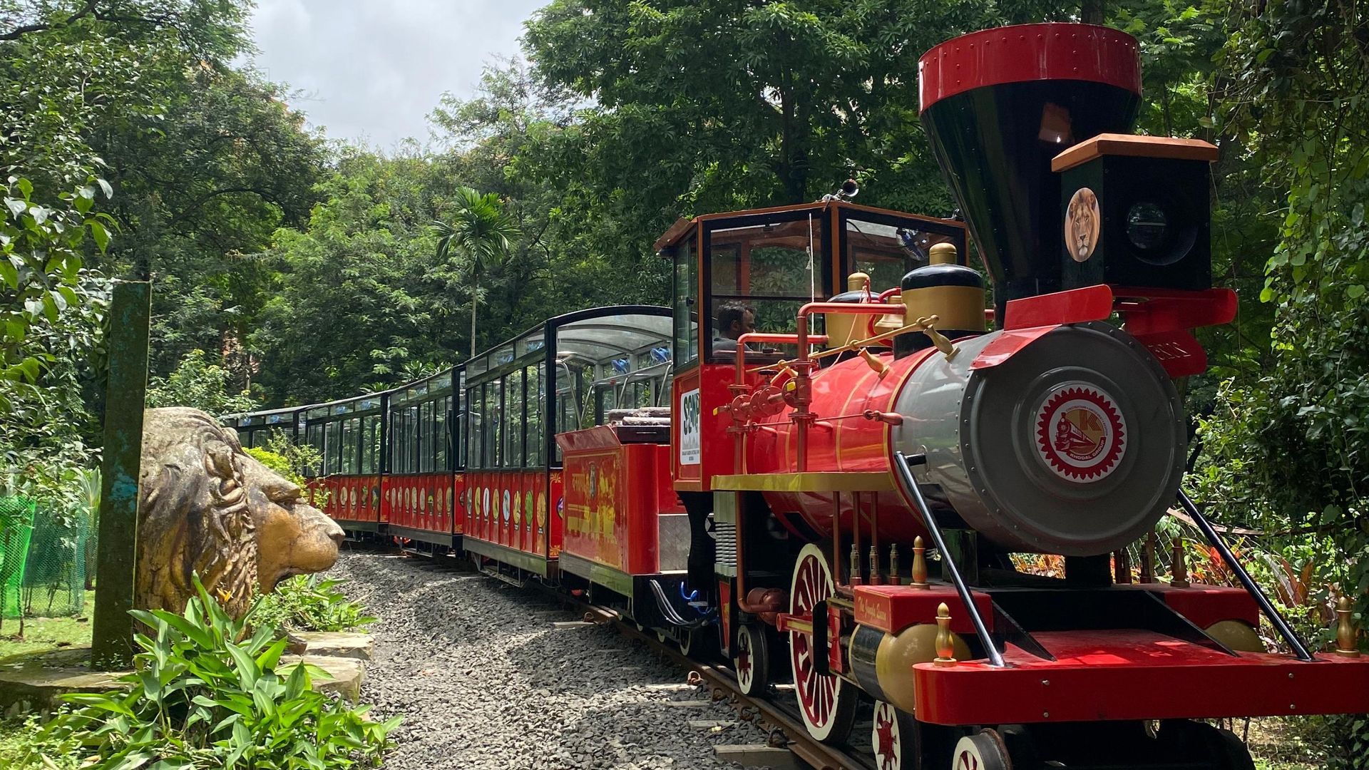 Cycling Classes for Kids & Adults in Mumbai | Veloctive best cycling academy in mumbai